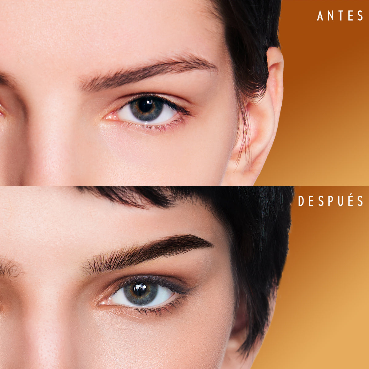 Genesis Lápiz para Cejas de Larga Duración
